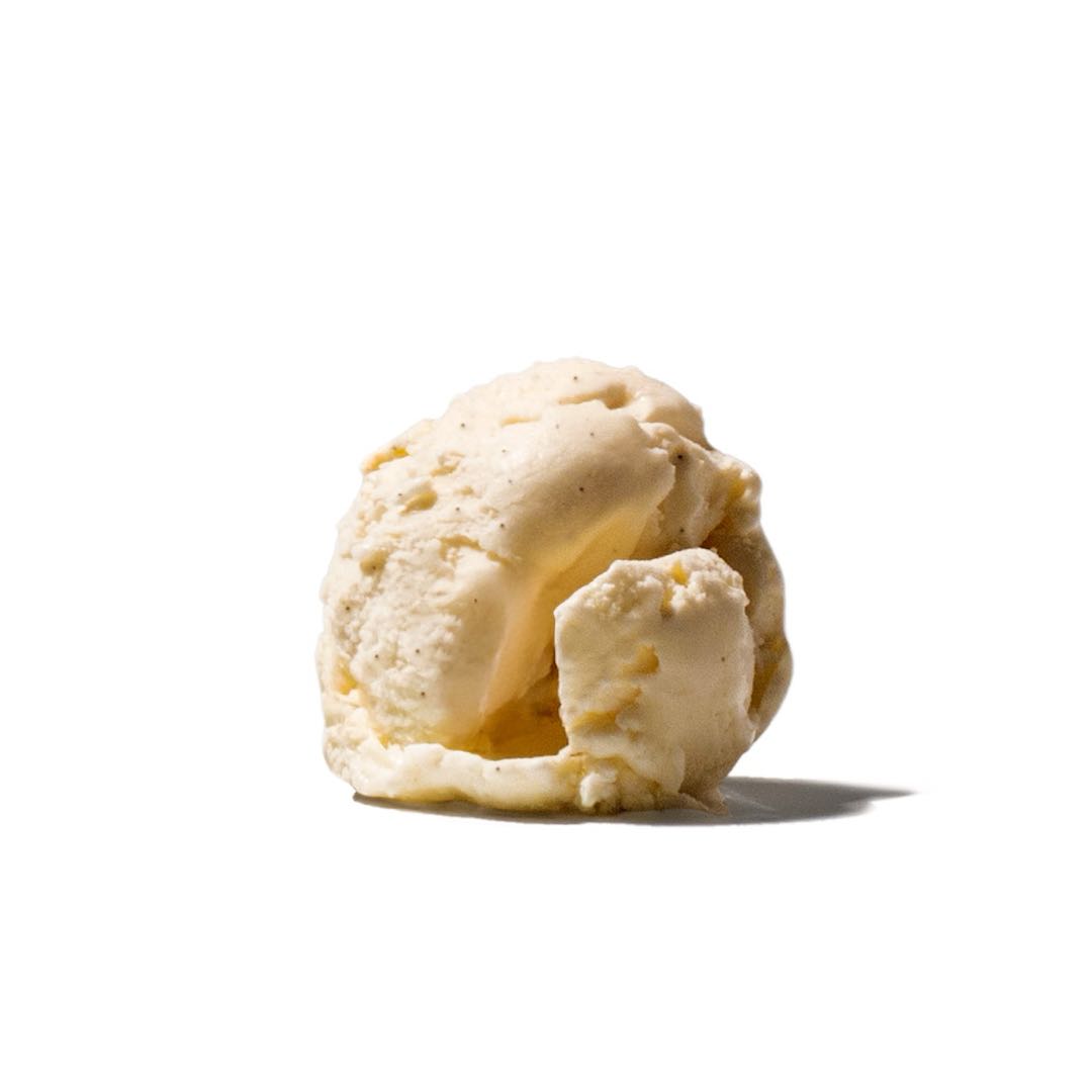 PANNA VANILLA